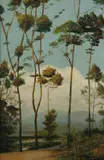 C. Backus, Landscape, Oil on board