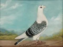 A. Wallis, Mr, Oil on board