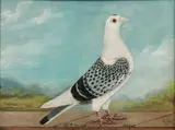 A. Wallis, Mr, Oil on board