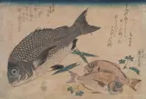 Utagawa Hiroshige, Kurodai