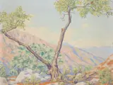 Valley in California by Salome Teresa Knabenshue, Oil on canvas stretched on cardboard, offered Apr 2007