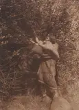 Untitled by Edward S. Curtis, BERRY-PICKER - CLAYOQUOT, portfolio photogravure plate 368, from "The North American Indian, offered Jun 2007