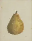 Lady Emma Tennant, Untitled, watercolour on handmade paper 18.5 x 14.5cm