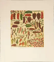 Chiles de Chiapas by Eugenia Marcos, 2014, Grabado al aguatinta 48 / 220, offered Aug 2023