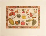 Eugenia Marcos, Frutas y verduras de México, 2012, Grabado al aguatinta 156 / 220