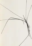 Norbert Kricke, Ohne Titel, 1962, Chinatusche auf glattem Papier