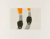 Alex Katz, Auktion 414, Los 741, 1987, Farbaquatinta und vernis mou auf Somerset England (Wasserzeichen)