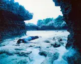 Izima Kaoru, Auktion 414, Los 1063, 2000, C-Print von 2001