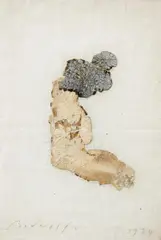 Jürgen Brodwolf, Auktion 414, Los 554, Mischtechnik (Collage) auf Textil