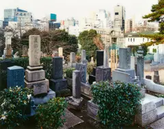 Auktion 411, Los 385 by Thomas Struth, 1996, C-Print, sold May 2018