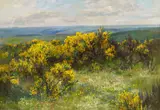 Ginsterblüten mit weitem Blick auf Eifellandschaft by Fritz von Wille, Öl auf Leinwand, sold May 2018