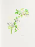 Apfelblütenzweig by Oskar Kokoschka, Farblithografie auf Velin, sold Aug 2018