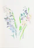 Herbstblumen by Oskar Kokoschka, Farblithografie auf BFK RIVES (Wasserzeichen), sold Apr 2018