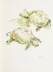Schildkröten by Oskar Kokoschka, Farblithografie auf BFK RIVES (Wasserzeichen), sold Apr 2018