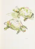 Schildkröten by Oskar Kokoschka, Farblithografie auf BFK RIVES (Wasserzeichen), sold Apr 2018