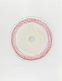 Auktion 414, Los 1055 by Damien Hirst, 2002, Farbradierung auf Velin, sold Jun 2018
