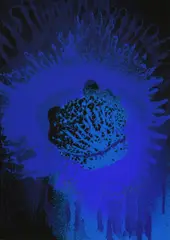 Blue sun by Otto Piene, 1975, Farbserigrafie auf Karton, sold Sep 2018