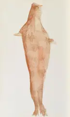 Robbe by Joseph Beuys, 1981, Farblithografie auf Bütten, sold Sep 2018