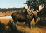Kirk Stirnweis, Moose, 1987, Oil on cold press illustration board