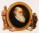 Ivan Akimovich Sushchenko, Charles Darwin, 1986, Oil on Masonite, unframed