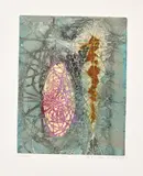 Krishna Reddy, Bull and Man, 1957, Etching in colours with embossing, on BFK Rives paper, with full margins