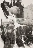Robert Rauschenberg, Horse Silk, from Night Sights, 1993, Offset lithograph in colours, on wove paper, the full sheet