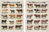 Marcel Broodthaers, Les animaux de la ferme (The Farm Animals), 1974, The complete set of two offset lithographs in colours, on wove paper, the full sheets