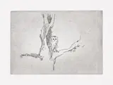 Tracey Emin, Little Owl (Self Portrait), 2005, Etching, on wove paper, with full margins