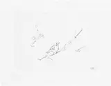 Tracey Emin, Sam and Jay's Birds, 2004, Etching, on wove paper, with full margins
