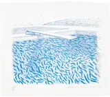 David Hockney, Lithographic Water Made of Lines and Crayon (T.G. 254, M.C.A.T. 211), 1978-80, Lithograph in colours, on TGL handmade paper, with full margins
