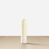David Shrigley, A Candle in the Shape of a Candle