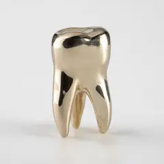David Shrigley, Brass Tooth, 2010, Solid cast brass multiple, contained in the original wooden box with unique drawing in black felt-tip pen on the lid