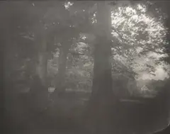 Untitled from Antietam by Sally Mann, 2000, Gelatin silver print, sold May 2023