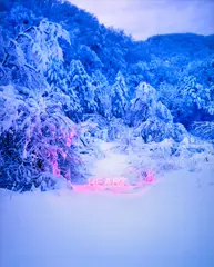 Jung Lee, Heart, 2018, Chromogenic print, Diasec-mounted