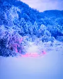 Jung Lee, Heart, 2018, Chromogenic print, Diasec-mounted
