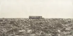 Jungjin Lee, Wind 04-54, 2004, Gelatin silver emulsion on Korean mulberry paper