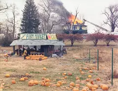 McLean, Virginia, December by Joel Sternfeld, 1978, Dye transfer print, printed 1983, sold May 2023
