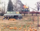 Joel Sternfeld, McLean, Virginia, December