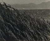 Ishiuchi Miyako, Yokosuka Story #5, 1976-1977, Gelatin silver print
