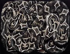 Guido Mocafico, Bothrops Alternatus, 2003, Dye destruction print, mounted