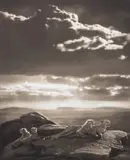 Cheetah and Cubs Lying on Rock, Serengeti by Nick Brandt, 2007, Archival pigment print, offered May 2023