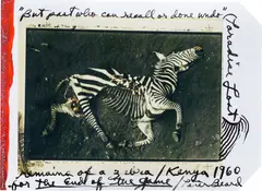 Lion Kill, Ol Loitokitok, Tanganyika, June by Peter Beard, 1960, Unique Polaroid print with ink and paint, executed later, sold May 2023