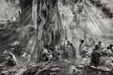 Sebastião Salgado, Tigray, Ethiopia