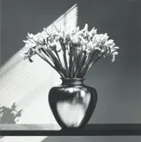 Irises by Robert Mapplethorpe, 1986, Gelatin silver print, mounted, sold May 2023