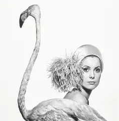 David Bailey, Catherine Deneuve, Flamingo, 1966, Archival pigment print, printed 2020