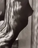 Herb Ritts, Female Torso Detail, Hollywood, 1989, Gelatin silver print
