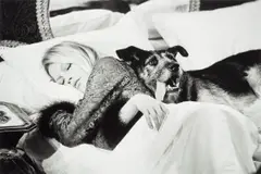 Terry O'Neill, Brigitte Bardot, 1970, Gelatin silver print, printed later