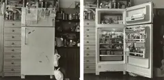 Tokuko Ushioda, 東京都世田谷区 Setagaya, Tokyo from 冷蔵庫／ICE BOX, 1981, Gelatin silver print diptych