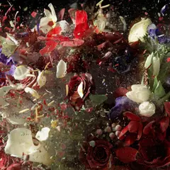 Ori Gersht, Untitled 12 from Blow Up, 2007, Chromogenic print, mounted