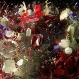 Ori Gersht, Untitled 12 from Blow Up, 2007, Chromogenic print, mounted